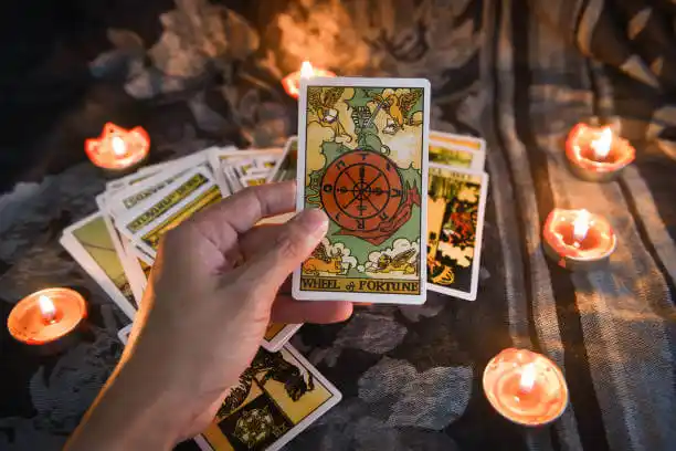 tarot cards Panther Valley